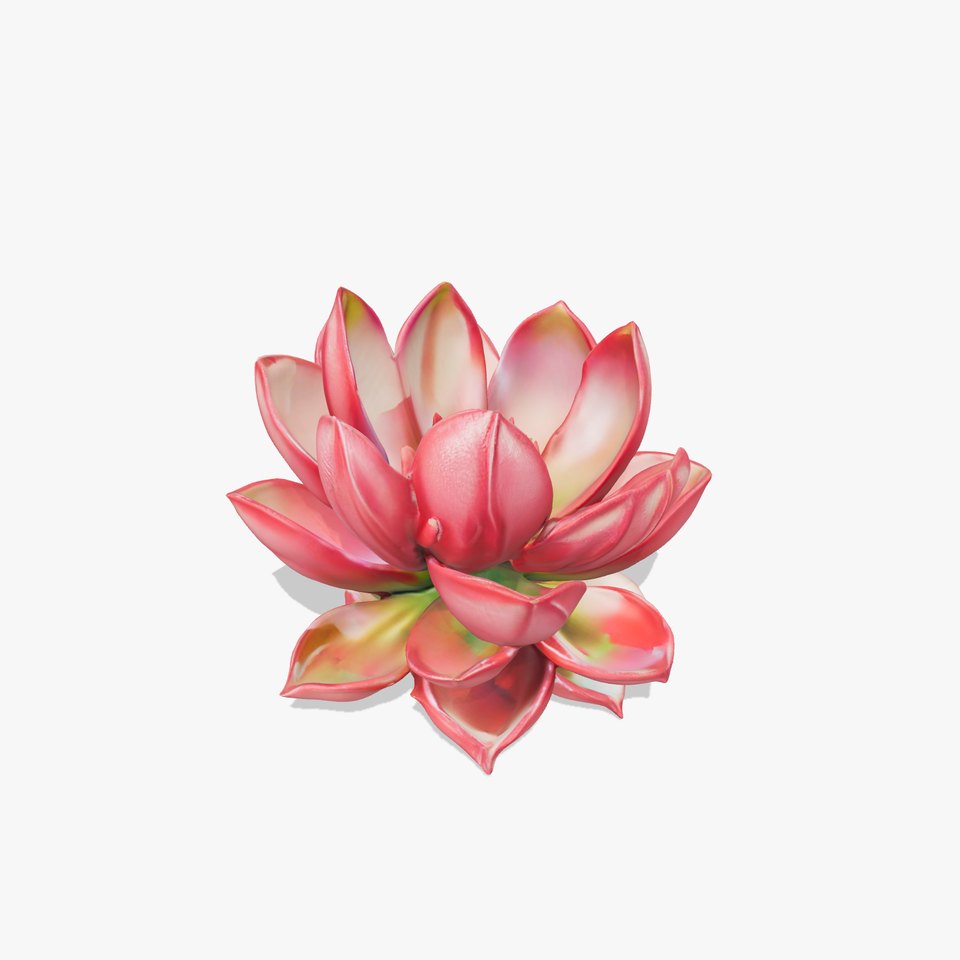 Crimson Succulent model pack